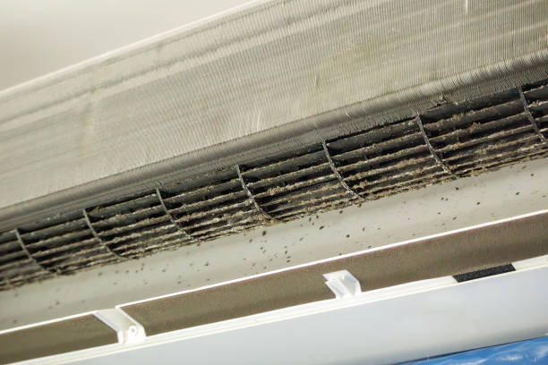 Best Local Air Duct Cleaning Services  in USA